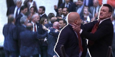 345446.jpg
