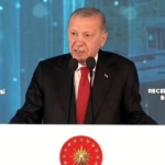 353150.jpg