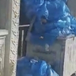 355578.jpg