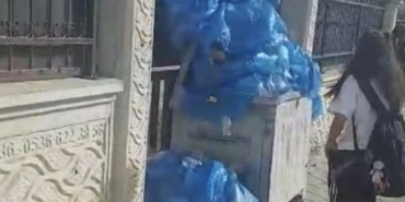 355578.jpg