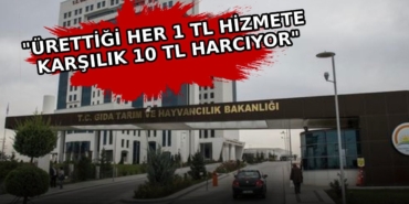 356173.jpg